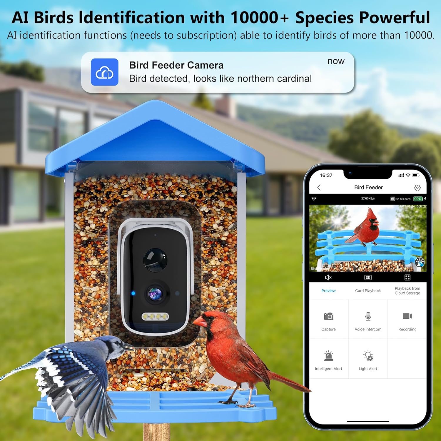 Smart Garden Ai - Mangiatoia per Uccelli Intelligente con Telecamera,