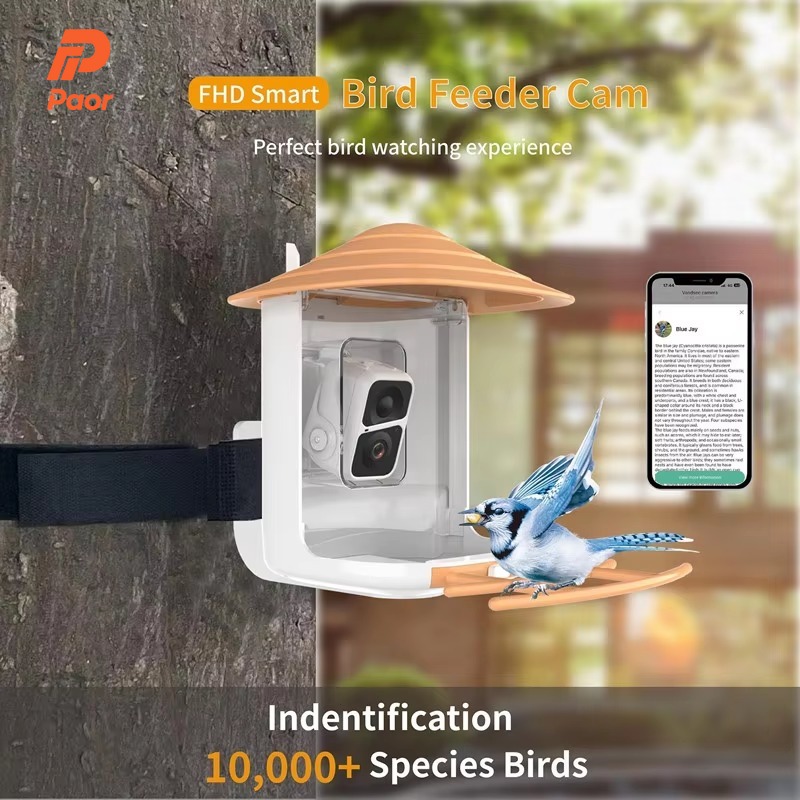 Smart Garden Ai - Mangiatoia per Uccelli Intelligente AI da