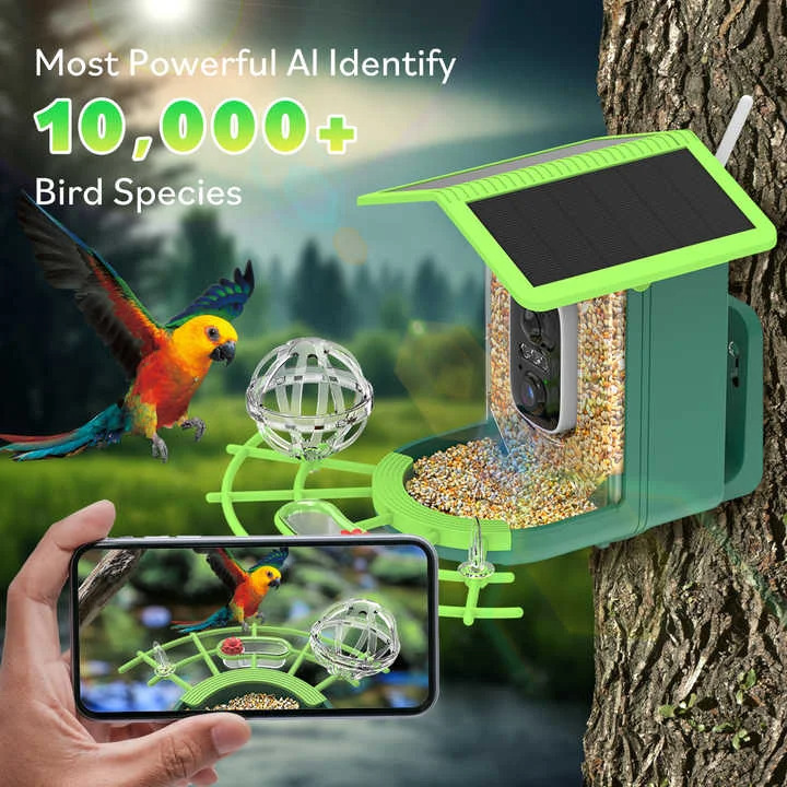 Smart Garden Ai - Mangiatoia per Uccelli Intelligente con AI,
