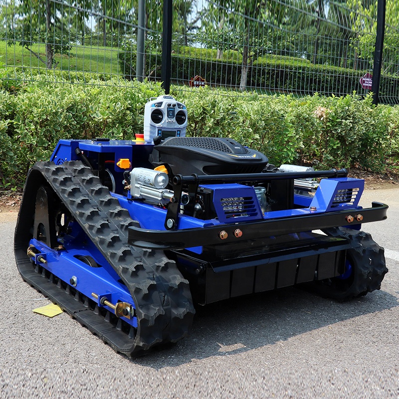 Robot Rasaerba Telecomandato E - Smart Garden Ai recensione e prezzo