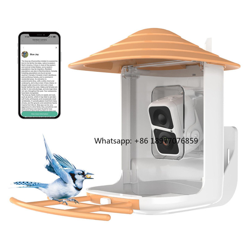 Mangiatoia per Uccelli Intelli - Smart Garden Ai recensione e prezzo