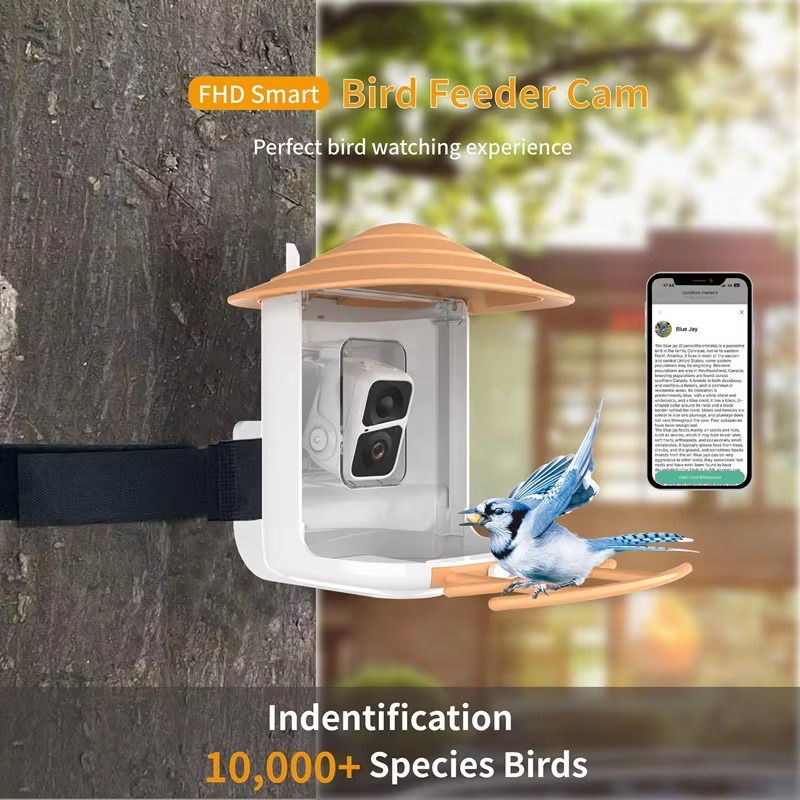 Mangiatoia per uccelli intelli - Smart Garden Ai recensione e prezzo