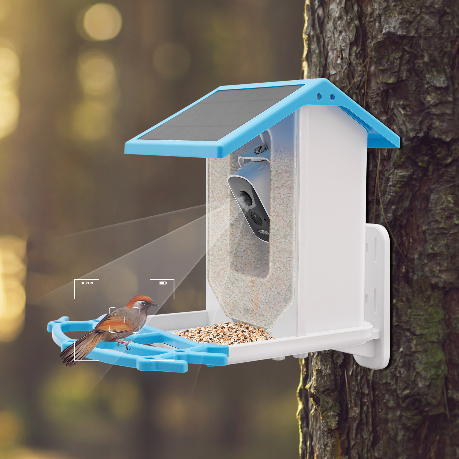 Mangiatoia per Uccelli Intelli - Smart Garden Ai recensione e prezzo