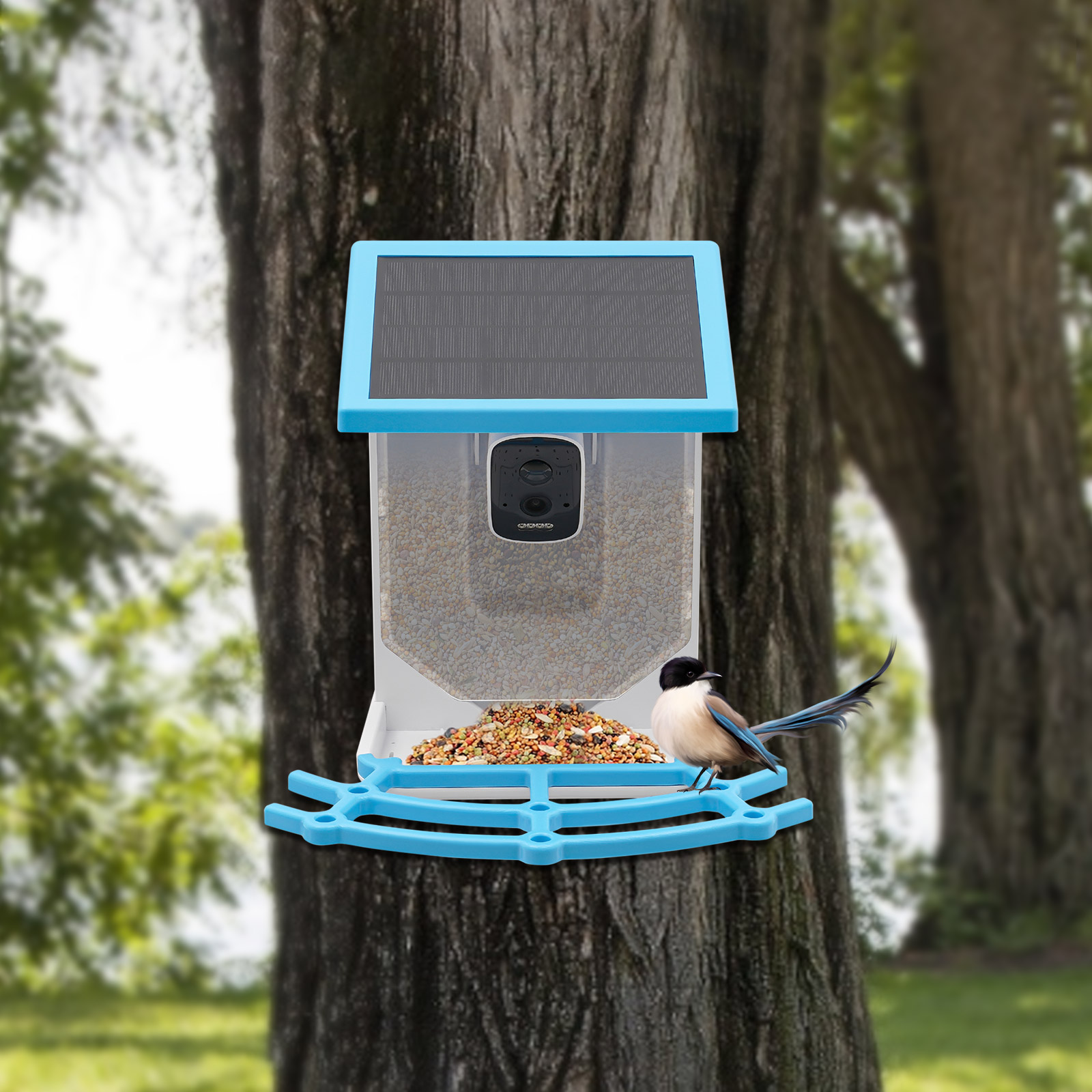 Mangiatoia per Uccelli Intelli - Smart Garden Ai recensione e prezzo