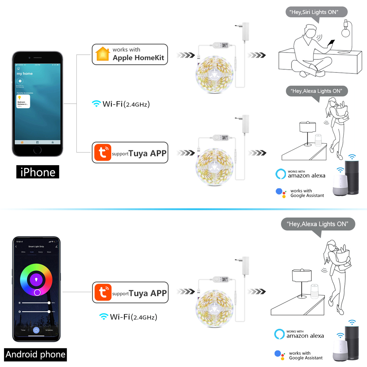 DC 12V WIFI RGBW RGBWW Control - Smart Garden Apple recensione e prezzo
