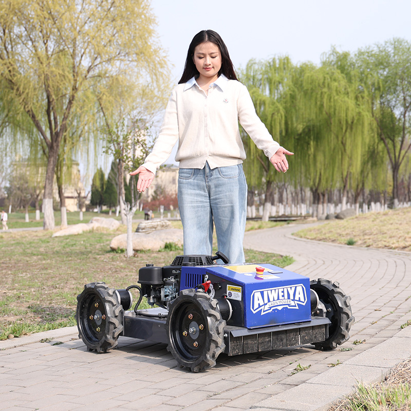 Robot Tagliaerba Automatico Pe - Smart Garden Gadgets recensione e prezzo