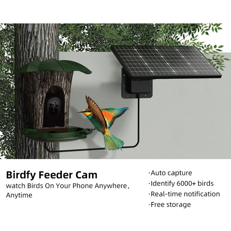 Mangiatoia per uccelli intelli - Smart Garden Ai recensione e prezzo