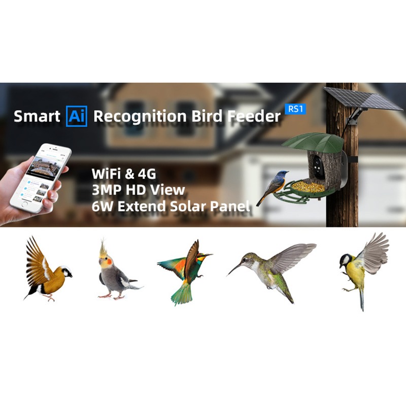 Mangiatoia per uccelli intelli - Smart Garden Ai recensione e prezzo