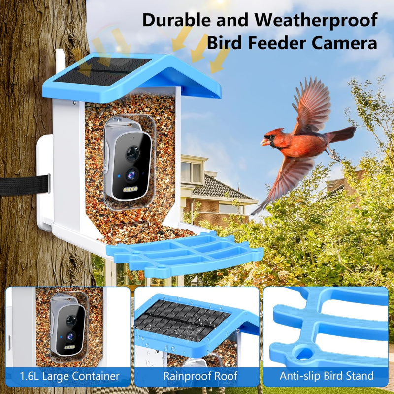 Mangiatoia per uccelli intelli - Smart Garden Ai recensione e prezzo