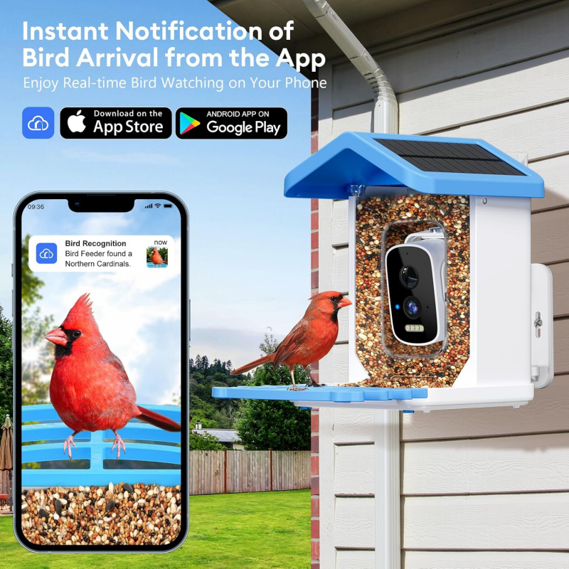 Mangiatoia per uccelli intelli - Smart Garden Ai recensione e prezzo